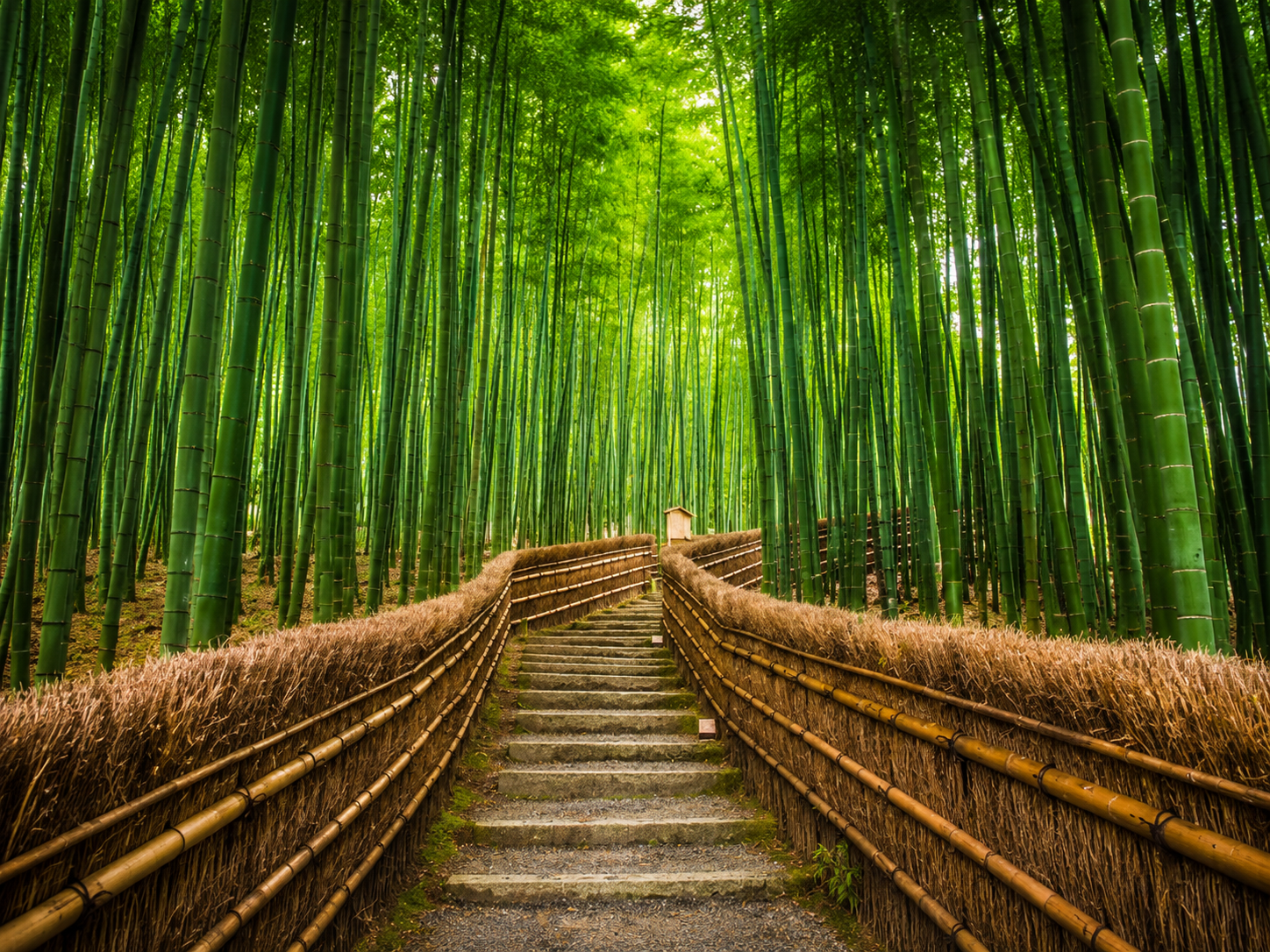 Kyoto